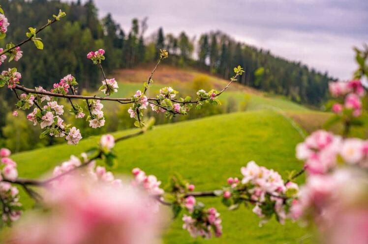 تقدیر از تلاشهای کارکنان و تبریک سال نو
